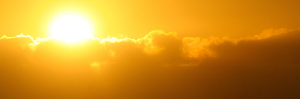 banner Nhật Hồng