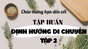 TẬP HUẤN ĐỊNH HƯỚNG DI CHUYỂN PHẦN 2