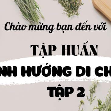 TẬP HUẤN ĐỊNH HƯỚNG DI CHUYỂN PHẦN 2